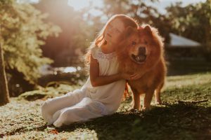 טיפול באמצעות בעלי חיים לילדים עם אוטיזם: איך כלבים יכולים לסייע? 
